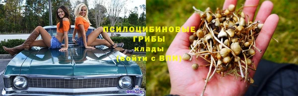бутират Алексин