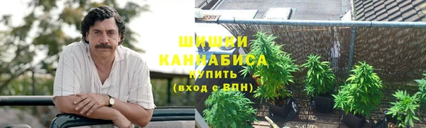бошки Алексеевка